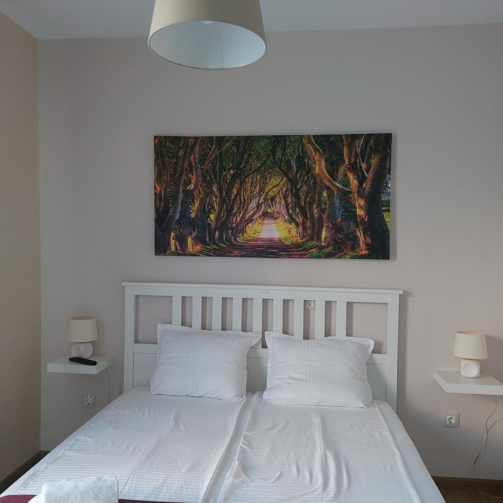 Stella Guesthouse 사파레바바냐 객실 사진